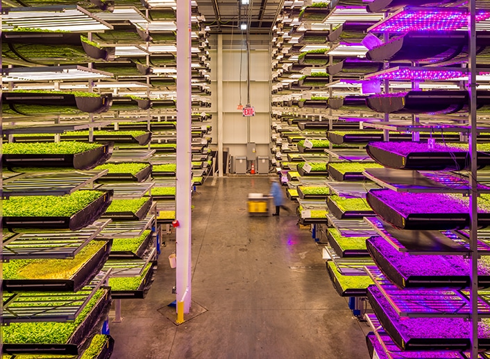 corporate-vertical-farms-partnership-opportunities