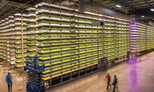 vertical farming news, AeroFarms