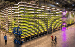 vertical farming news, AeroFarms