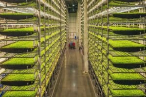 vertical farming news, AeroFarms