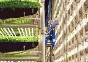 vertical farming news, AeroFarms